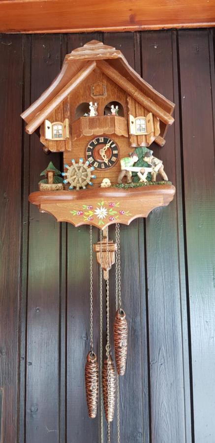 Ferienhof Ziegler- Sonnenschein Baiersbronn Extérieur photo