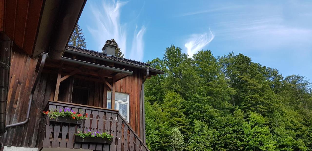 Ferienhof Ziegler- Sonnenschein Baiersbronn Extérieur photo