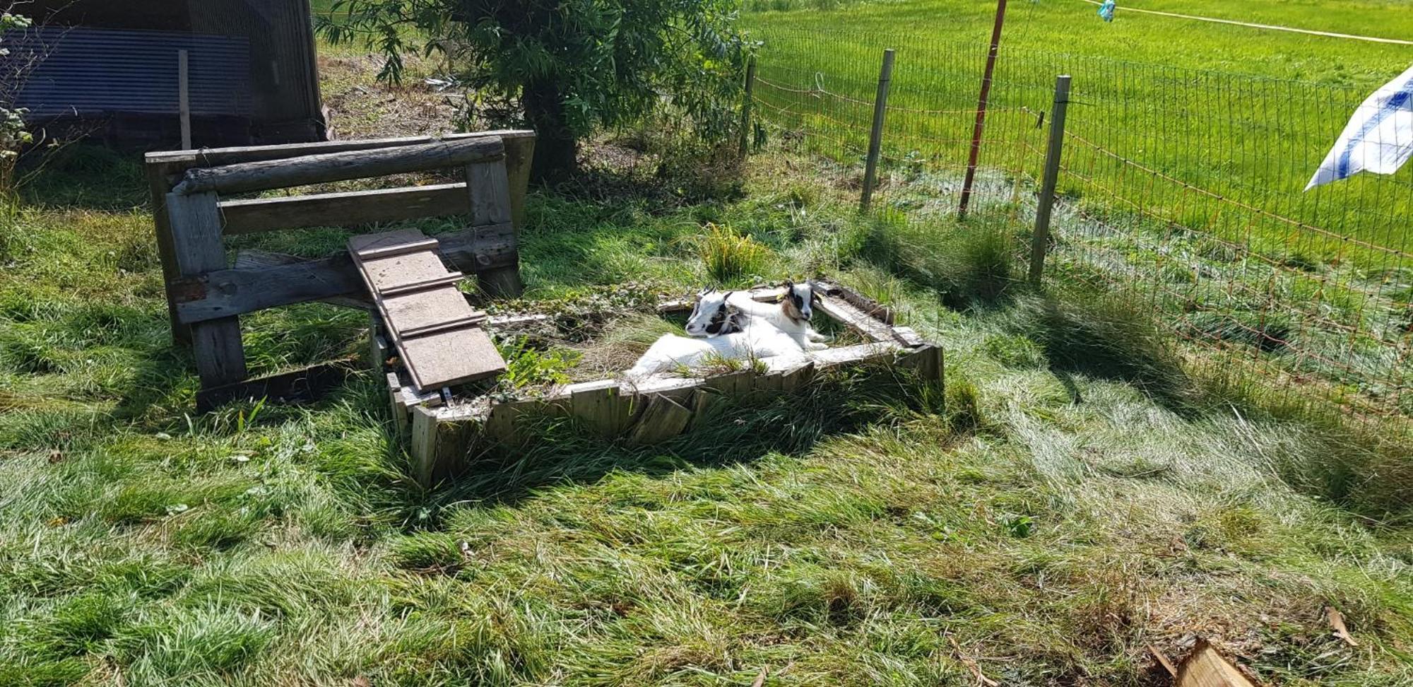 Ferienhof Ziegler- Sonnenschein Baiersbronn Extérieur photo